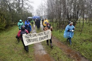 Piden declarar como Santuario de la Naturaleza al Humedal Angachilla de Valdivia