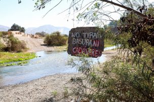 Qué hay detrás del letrero en Copiapó que dice: “No tirar basura, ni cadáveres”
