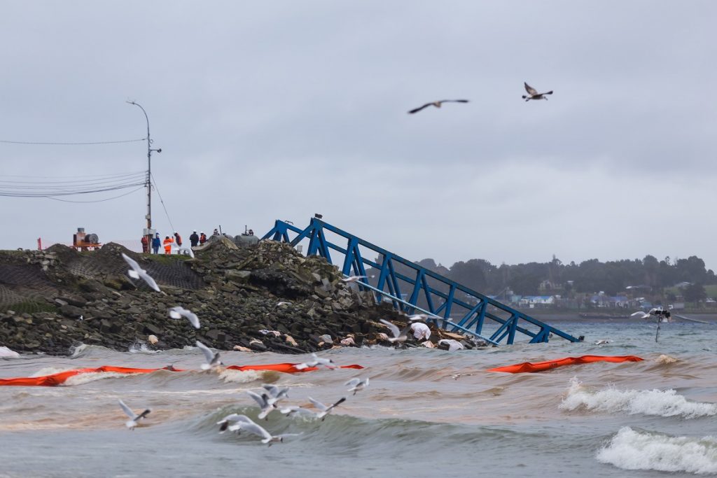 Muelle hundido con alimentos para salmones provocó emergencia ambiental en Colbuco