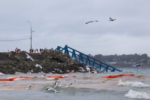 Muelle hundido con alimentos para salmones provocó emergencia ambiental en Colbuco