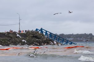 Muelle se hundió con alimentos para salmones en Calbuco