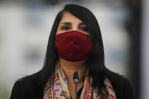 Ministra Rubilar ratifica que habrá quinto y sexto pago del Ingreso Familiar de Emergencia