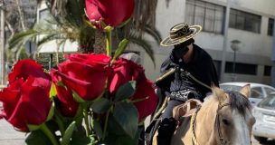 Con rosas incluidas: Así fue la 