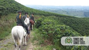 Al menos 17 muertos en tres nuevas masacres en Colombia en menos de 24 horas