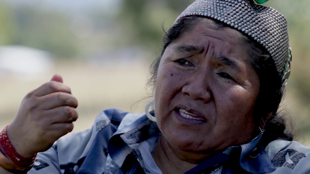 Dirigenta mapuche Ana Llao condenó incidentes en La Araucanía: “En este territorio existe el racismo”