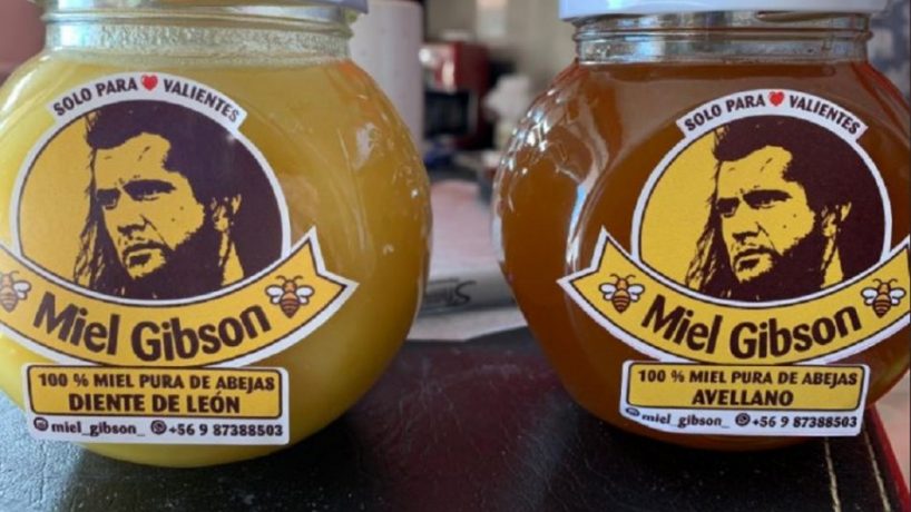 Paula Hait, la otra empresaria que inscribió primero “Miel Gibson”: “Ella inscribió posteriormente, por lo tanto no tiene derecho a la marca”