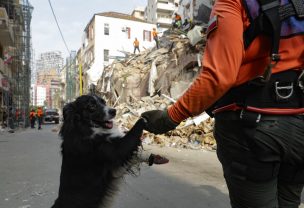 Rescatistas chilenos detectaron señales de vida en los escombros de la explosión de Beirut