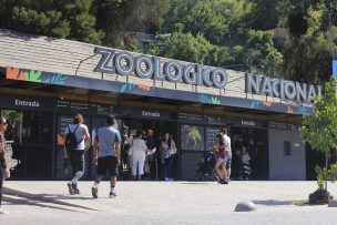 Anuncian reapertura del Zoológico Nacional