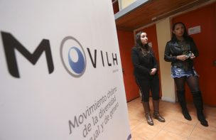 Movilh exige a CNTV prohibir contenidos homofóbicos y transfóbicos en franja electoral