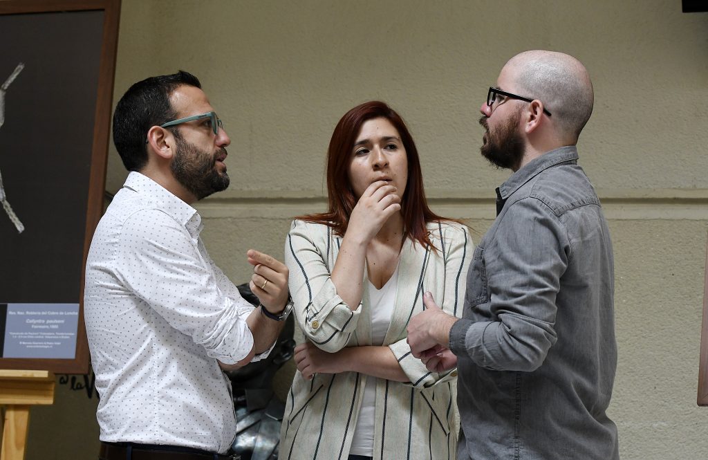 Catalina Pérez, presidenta de Revolución Democrática (RD): “No vamos a competir con personas vinculadas a casos de corrupción”