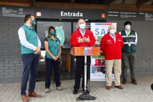 Conformarán mesa con alcaldes por frecuentes avistamientos de pumas en la Región Metropolitana