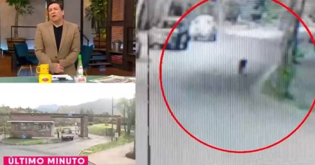 JC Rodríguez “troleó” al periodista Pablo Aguilera tras avistamiento de pumas en Las Condes y Huechuraba
