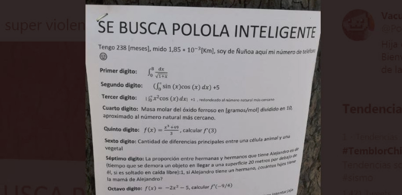 Baltazar, el “Pitágoras del amor” que busca una “polola inteligente” a través de aviso con ejercicios matemáticos