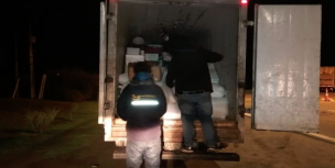 Decomisan casi 7 toneladas de reineta sin acreditación de origen legal