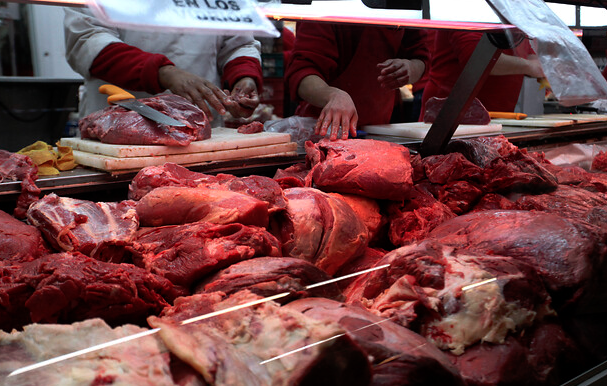 Fiestas Patrias: 27 sumarios y 700 kilos de carne decomisados en la región de Coquimbo