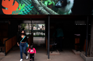 Después de seis meses, reabre el Zoológico Nacional al público