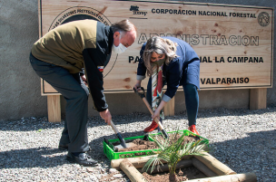 Anuncian que el 100% de los Parques Nacionales se podrían reabrir a fin de año