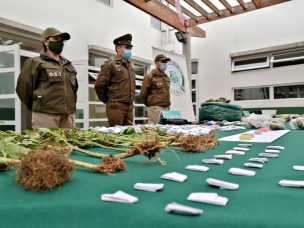 Carabineros saca de circulación más de $9 millones en drogas en la Región de Coquimbo