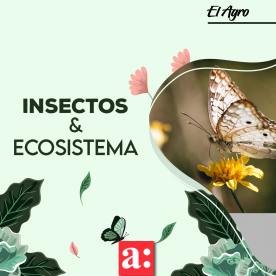 INIA lidera workshop que aborda la relevancia de los insectos y su rol en nuestros ecosistemas