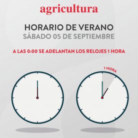 Cambio de hora: este fin de semana Chile ingresa al horario de verano