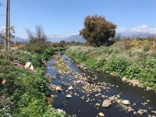 Tribunal Ambiental exigió a municipio de Olmué la entrega de informes de la Seremi de Salud