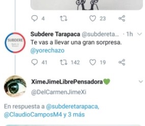 Subdere de Tarapacá “tuiteó” a favor del rechazo y provocó una serie de críticas por parte de los usuarios en redes sociales