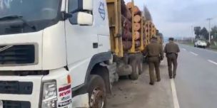 Carabineros incauta seis camiones que transportaban madera con guías falsas