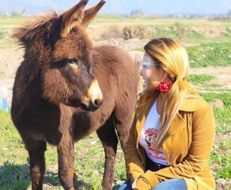 “Que le gusta ser pinturita”: Cathy Barriga genera distintos comentarios “entaconada” manejando un tractor [VIDEO]