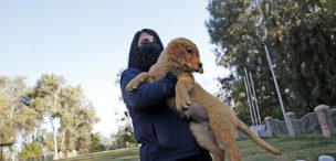 Ministra Rubilar hace un llamado para cuidar la alimentación de las mascotas durante Fiestas Patrias