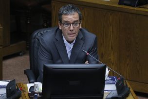 Senador Harboe (PPD) y el Plebiscito Constitucional: 