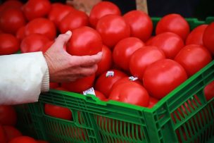 IPC de septiembre registra una variación de 0,6%: destaca el alza en el tomate