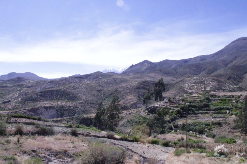 Microorganismos en el desierto de Atacama: base para generar bioproductos