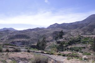 Microorganismos en el desierto de Atacama: base para generar bioproductos