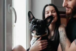 ¿Tienes mascotas? Esta es la rutina adecuada para el cuidado de su piel