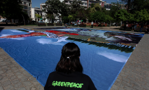 Greenpeace despliega enorme obra frente al Museo de Arte Contemporáneo