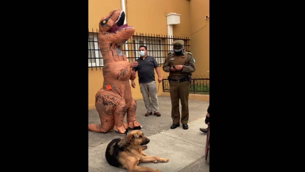 “No me querían dejar votar”: “Corre Dinosaurio” tuvo problemas en su local de votación por llegar disfrazado