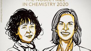 Dos mujeres ganaron el Premio Nobel de Química por 