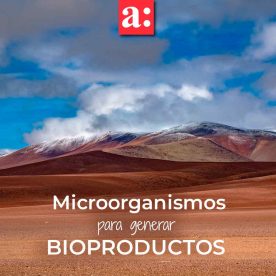 Microorganismos en el desierto de Atacama: base para generar bioproductos