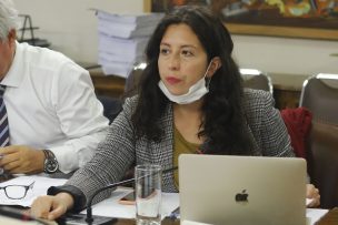 Diputados solicitaron al Ejecutivo 