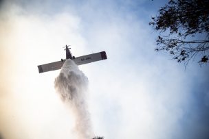 Alerta Roja para la comuna de Isla de Pascua por incendio forestal