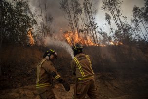 Maule: Mantienen Alerta Amarilla por incendio forestal en Sagrada Familia