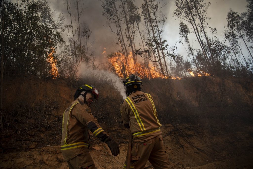 Evacúan “Villa Esmeralda” en Purén ante violento incendio forestal que amenaza viviendas