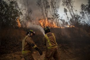 Alerta Temprana Preventiva para la Región Metropolitana por amenaza de incendio forestal