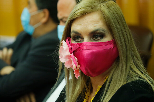 Pamela Jiles: “Había que darle su ‘tatequieto’ al ministro Briones para que no moleste”