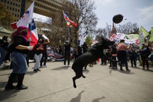 Diputados respaldaron movilización de trabajadores de la Salud