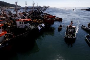 Asipes criticó avance de proyecto que anula la actual Ley de Pesca