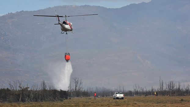 Se registra un 72% menos de hectáreas quemadas por incendios forestales