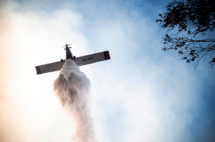 FNE pide sanciones para empresas de aviones de combate de incendios por colusión