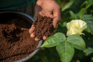 Orgánico Regenerativo, el nuevo paso en la sostenibilidad de Patagonia