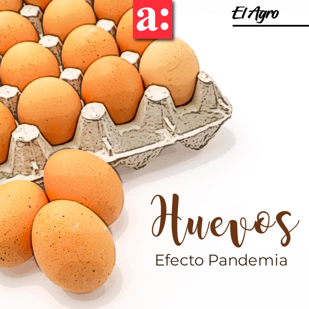 Pandemia provoca alza histórica en producción de huevos en Chile
